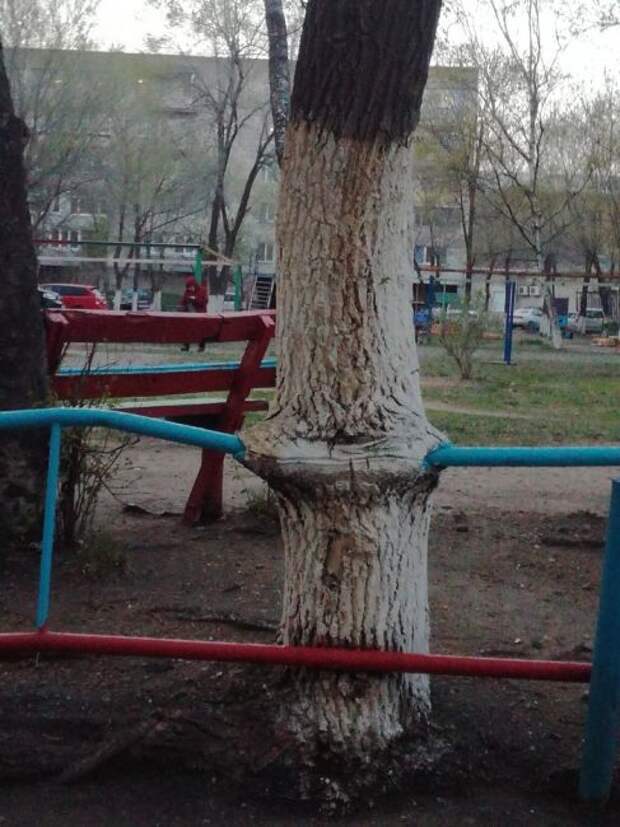 М м м вкусная труба.