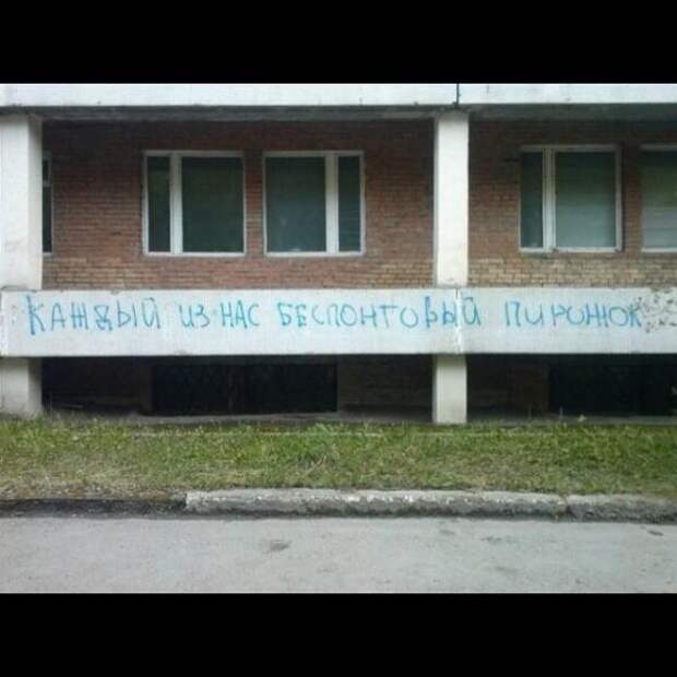 Философские надписи на стенах, которым место в учебниках