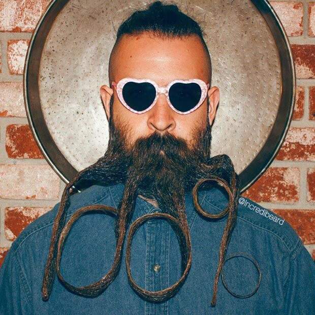 Mr. Incredibeard, скульптуры из бороды, Исайя Вэбб, Isaiah Webb