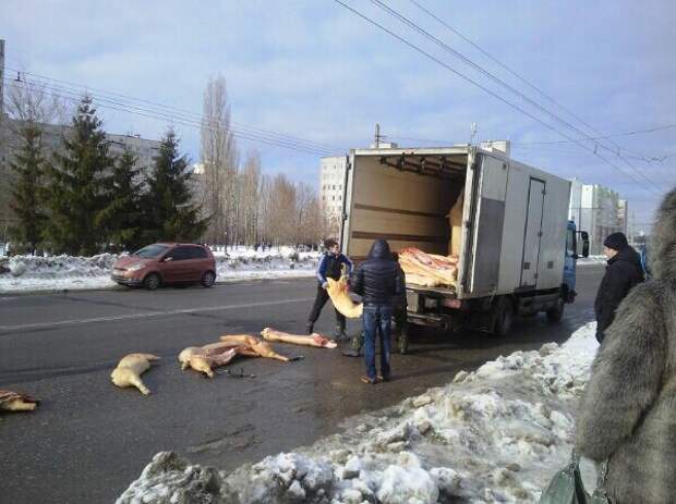 Ничего необычного мясо, свинина, харьков, юмор