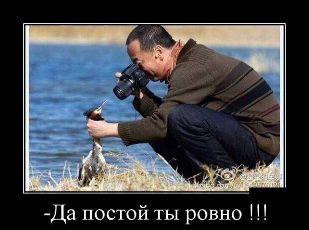 Демотиваторы (30 фото) Демотиваторы (30 фото)