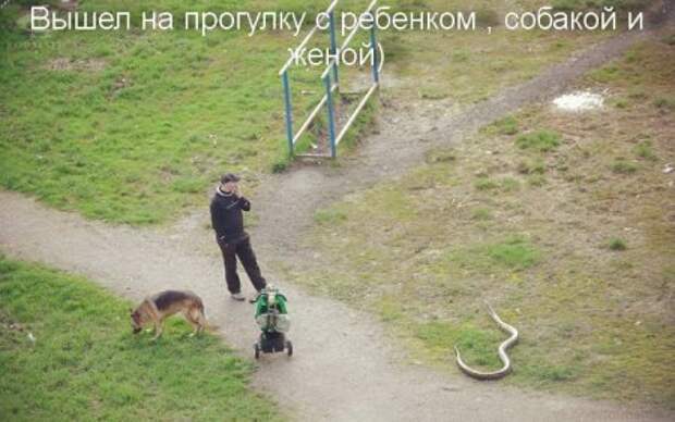 Фото, которые прикольно получились.