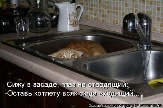 Котоматрица 26