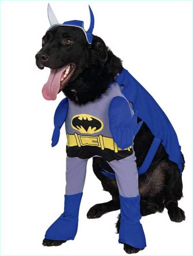 Halloween Batman Costume For Dogs