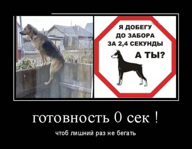 Демотиваторы (30 фото)