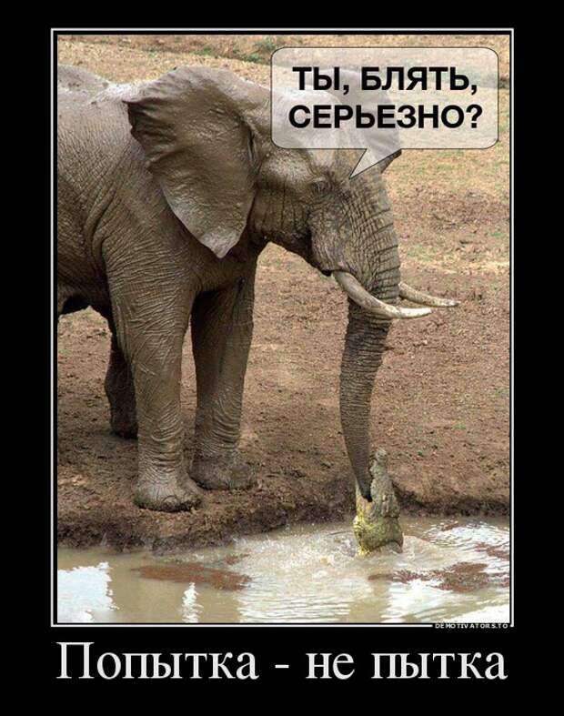 Демотиваторы  демотиваторы, прикол, смех, юмор