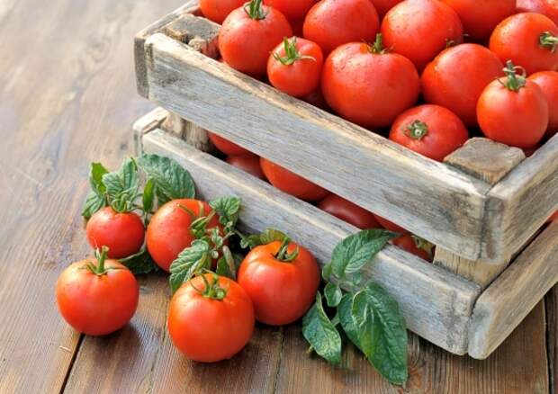 Удивительные секреты хранения продуктов