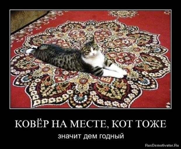 Картинки прикольные демотиваторы.