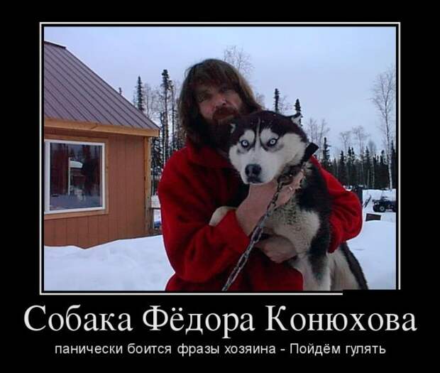 Демотиваторы (30 фото)