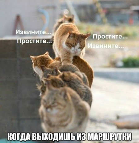 4032104_original (450x464, 181Kb)