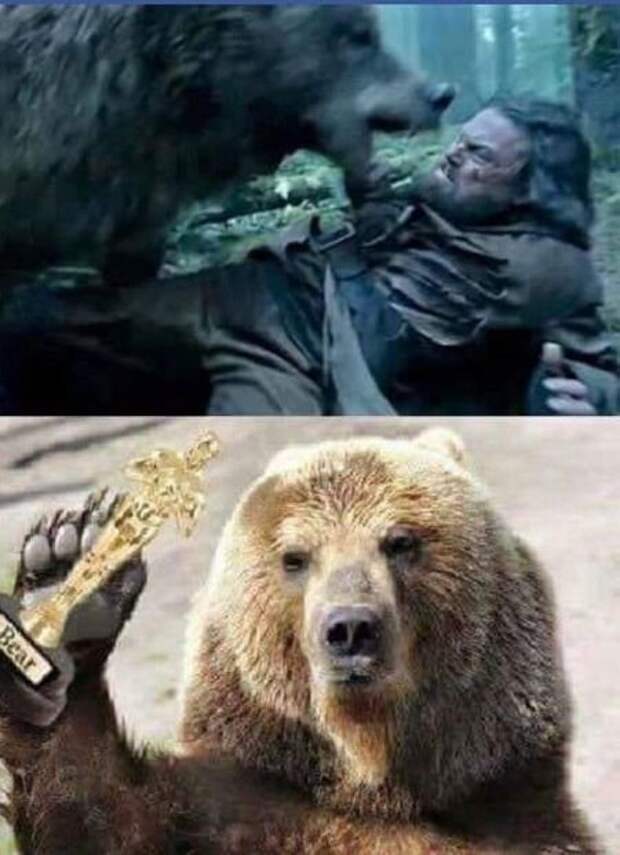Прикольные картинки