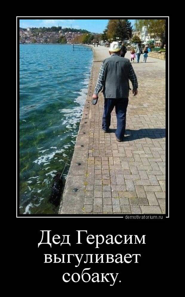 Новые демотиваторы (16 шт)