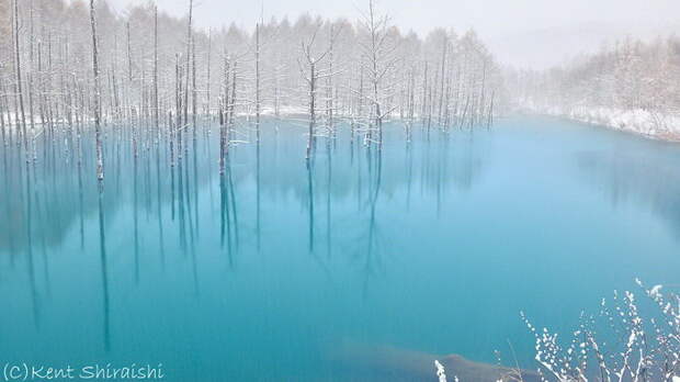 Голубой пруд в Хоккайдо