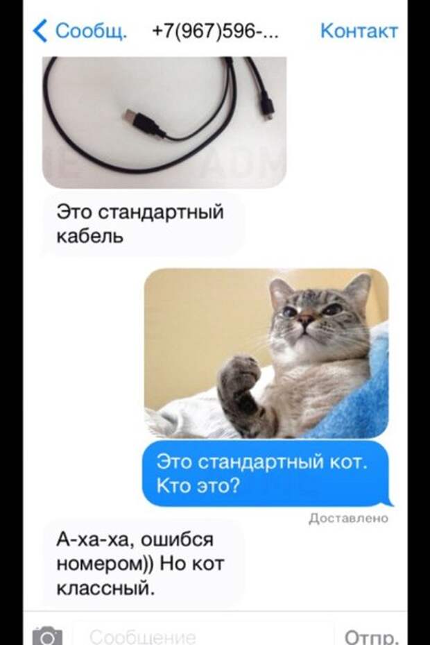 b8sani9fkZnY3I8J2hUv83lkVHA7Jh