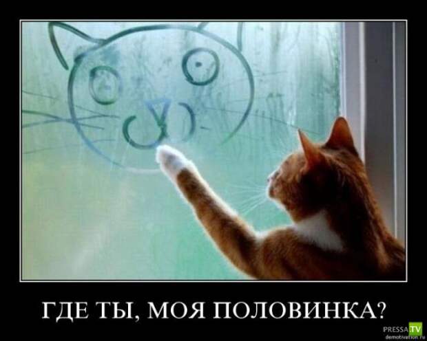Подборка Демотиваторов Часть 13 (74 фото)