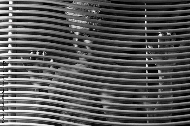 Fine Art Nude by Роберто Монетто (Roberto Manetta)