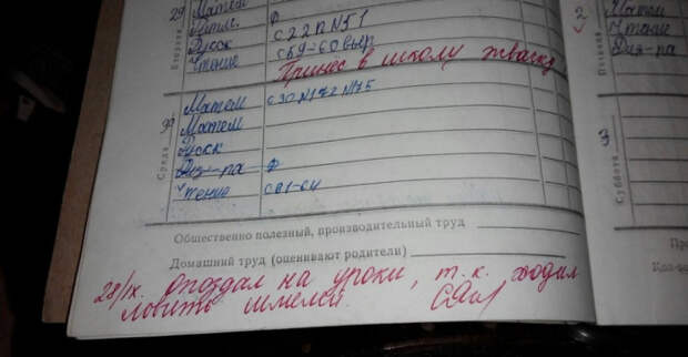 смешная запись в дневнике школьника