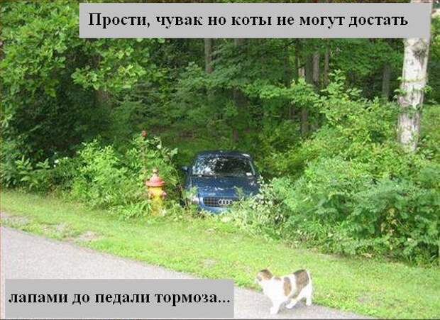 Мысли :) (50мыслей)