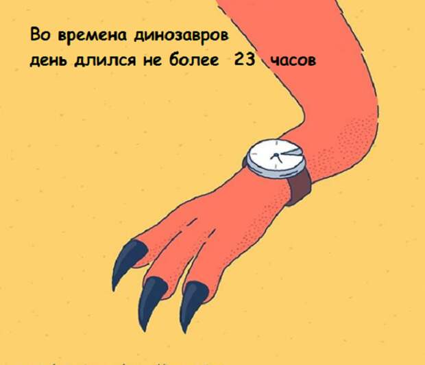 www.vsyako.net