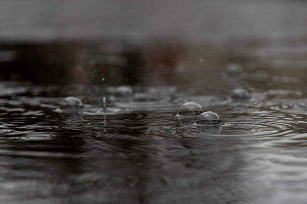 В Туле и области пройдет дождь в среду, 12 ноября