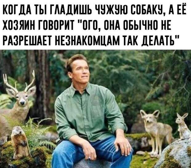 kartinok-prikolnyh-podborka-kartinki-smeshnye-kartinki-fotoprikoly
