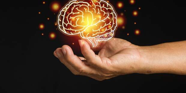 Не рыбой единой: диетолог раскрыла секреты питания для ясного ума и острой памяти