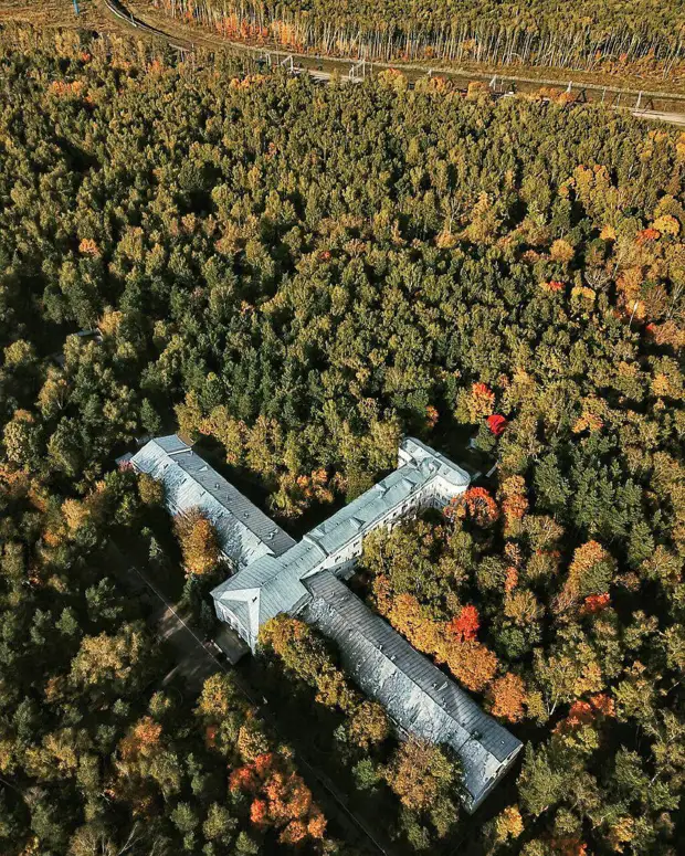 Яузская аллея москва. Лосиноостровский парк пик. Дом-самолет в хамовниках. Зоны лосиного острова. Станция белокаменная лосиный остров.