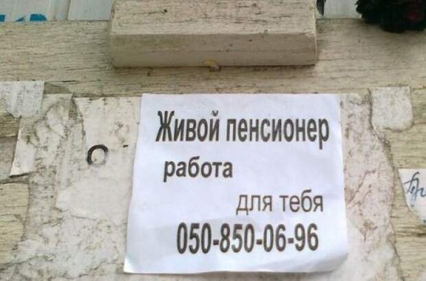 Забавные объявления, вывески, ценники