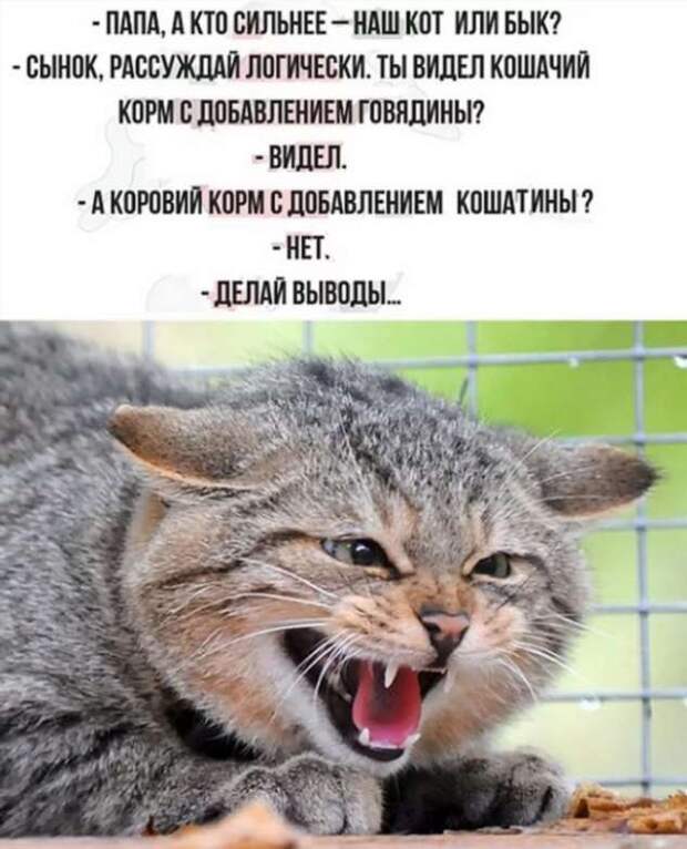 Смешные комментарии. Подборка chert-poberi-kom-chert-poberi-kom-39560217102020-16 картинка chert-poberi-kom-39560217102020-16