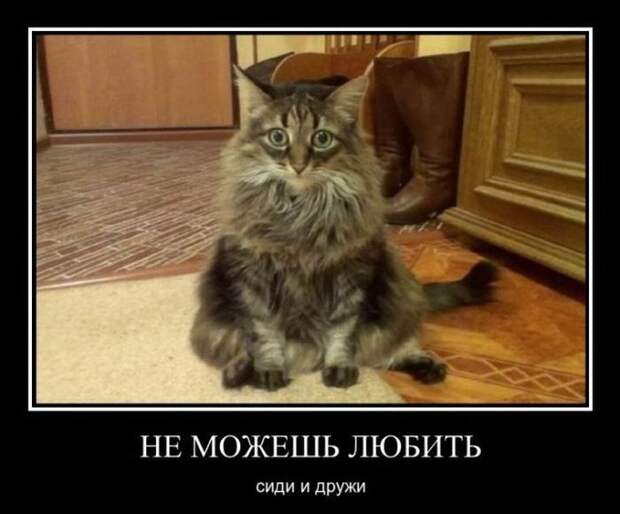 Не можешь любить - сиди и дружи демотиватор, юмор