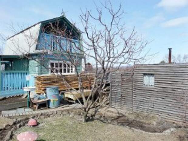 работы в саду и огороде осенью (сентябрь – октябрь – ноябрь)