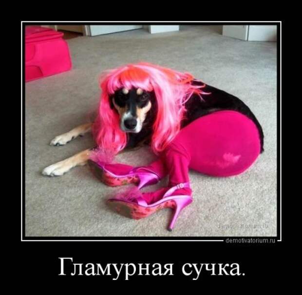 Весёлая подборка демотиваторов Весёлая подборка демотиваторов