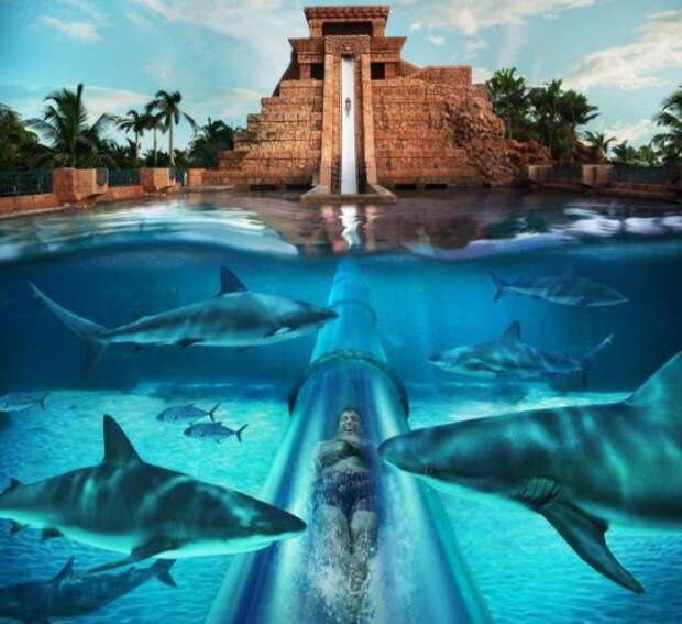 leap of faith