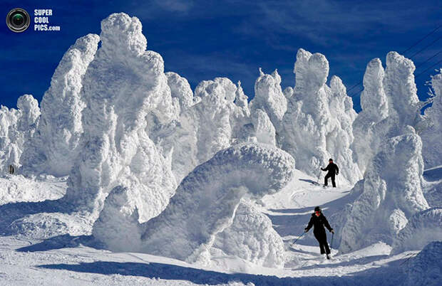 Красота зимы