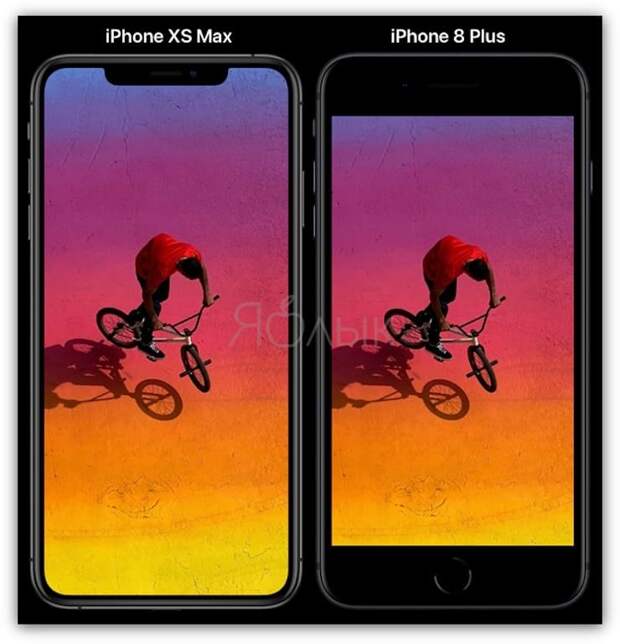Размеры Сравнение размеров iPhone XR и iPhone 8 Plus