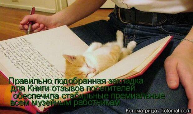 Лучшие котоматрицы недели
