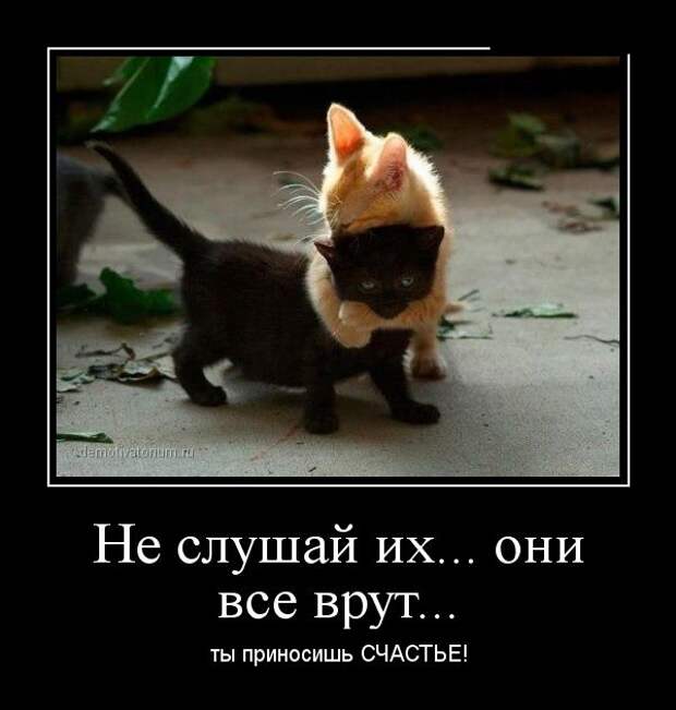 Демотиваторы №1111 (30 фото)