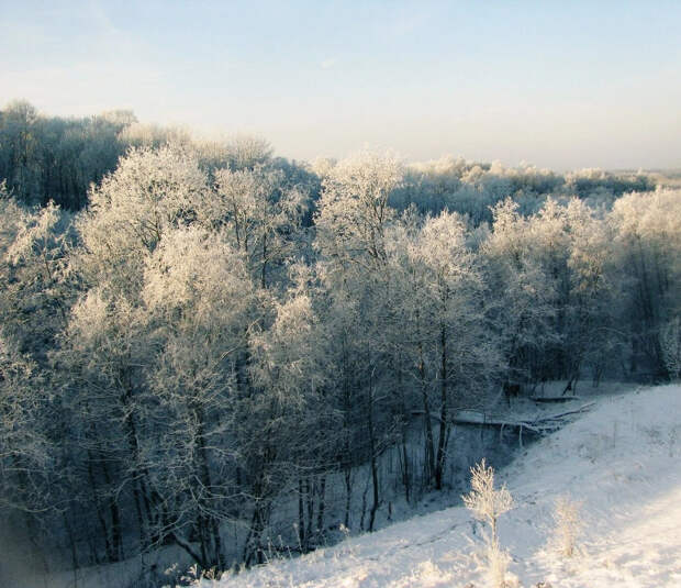 Погода в Архангельской области 8 марта: в регион придет антициклон