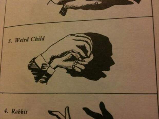смешные, необъяснимые, фотографии,