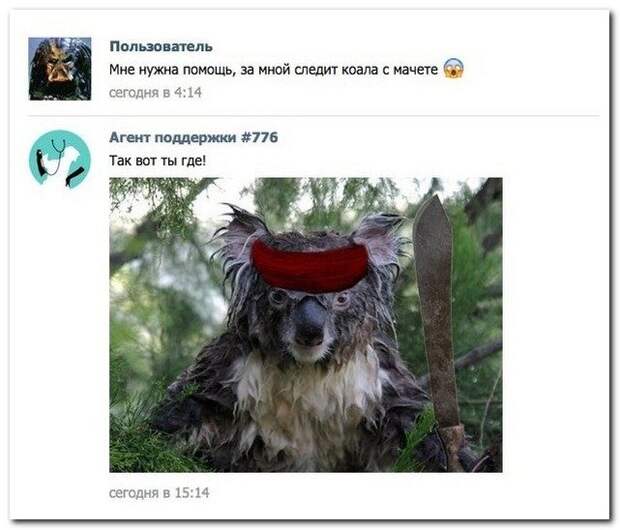 Юмор из соцсетей