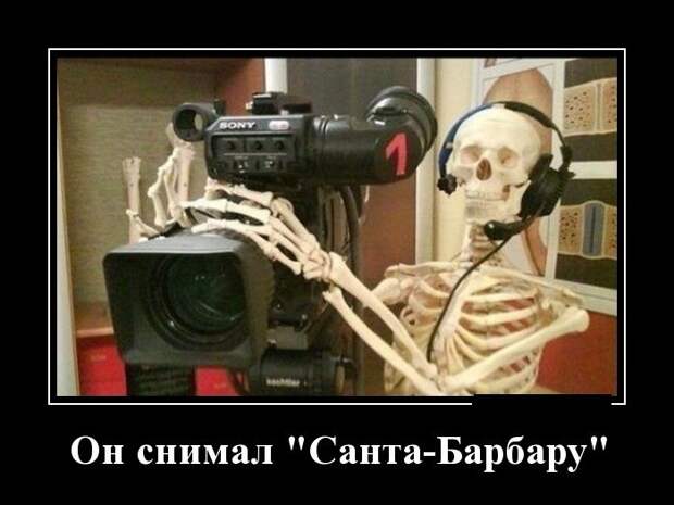 Демотиваторы (30 фото)