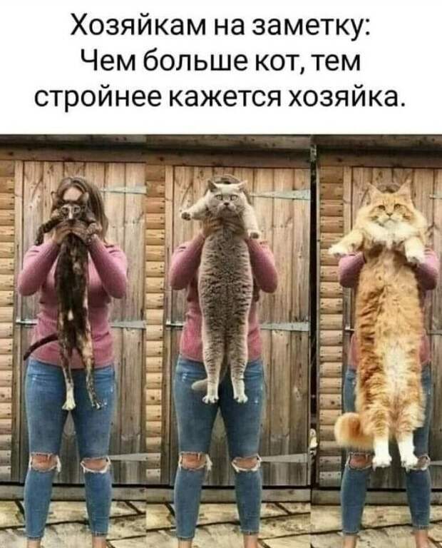 Одинокие девушки и их советы Одинокие девушки и их советы