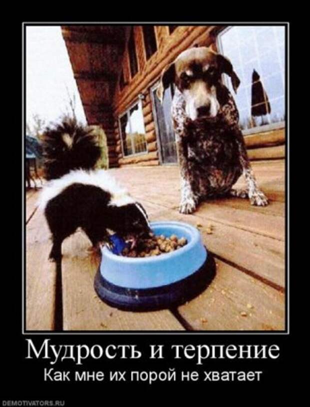 Демотиваторы серьезные, читать под настроение.
