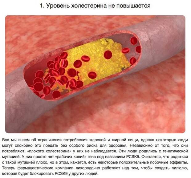 10 удивительных способностей, полученных в результате генетических мутаций 10 удивительных способностей, полученных в результате генетических мутаций