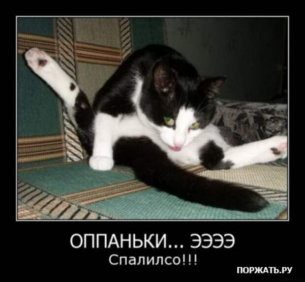 Демотиваторы атакуют :)