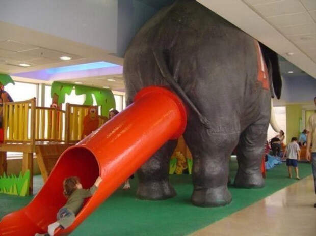 Elephants-Bum-Slide