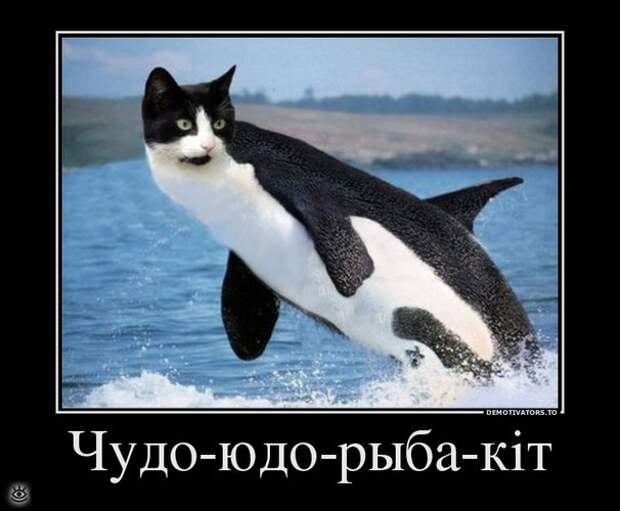 Утренняя зарядка демотиваторами 1