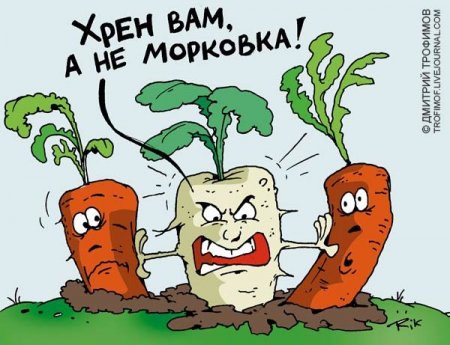 Карикатуры, настроение будет только лучше.