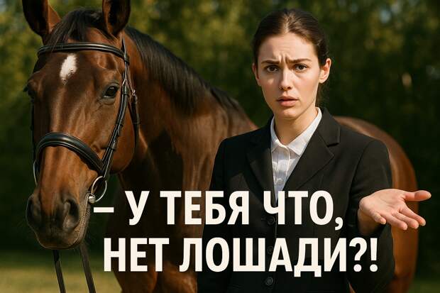 Нет лошади.jpg Нет лошади.jpg