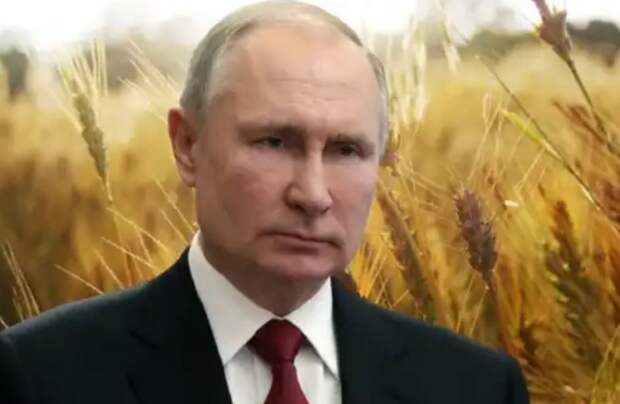 Money: в Италии заподозрили неладное, Путин начал отбирать российские земли у Запада